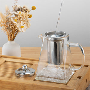 Théière en Verre Borosilicate avec infuseur