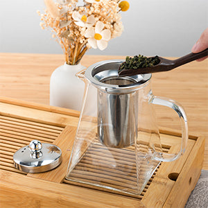 Théière en Verre Borosilicate avec infuseur